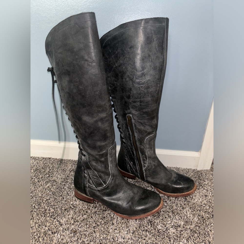 Freebird by Steven Stag